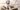 Fetching the Perfect Identity: Top 50 Names for Your Beloved Dog