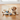 Puppy playing with a toy on a wooden floor