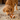 Small dog playing with the Football Plush Dog Toy, shaking it excitedly.