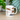 how to speak dog coffee mug on a desk