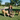 Woman sitting on grass with three dogs in a park