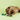 Dog playing with a bee-shaped toy on a green background