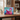 Calendar box with a dog on a pink flamingo float and text 'What Dogs Teach Us'.