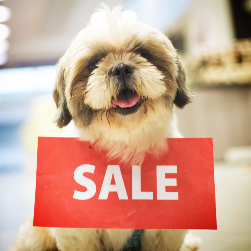 Shop Dog Themed Gifts On Clearance